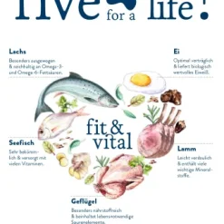 Happy Dog Fit & Vital Medium Adult -Nourriture pour chien Soldes 03 FV Give me five hochLbp5PBr6ZVFFu 636924d947d8d g