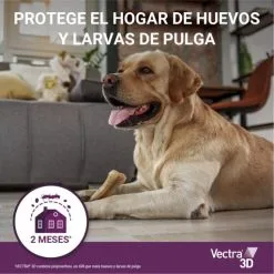 Vectra Pipettes Vermifuges 3D Pour Les Chiens De 10 à 25 Kg -Nourriture pour chien Soldes 08 vectra ProtegeHogarHuevos Larvas 63bd4718480f1 g