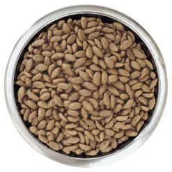 Pro Plan Optiderma Medium Adult Sensitive Skin Riche En Saumon -Nourriture pour chien Soldes 110324 3 g