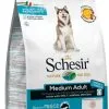 Schesir Entretien Moyen Poisson Pour Chiens -Nourriture pour chien Soldes 113891 sch dry d medium pesce 1 g