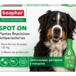 Beaphar Pipettes Antiparasitaires Race De Grande Taille > 30 Kg