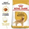 Royal Canin Golden Retriever Adult Pour Chiens De Race Adultes -Nourriture pour chien Soldes 147 1 0 g