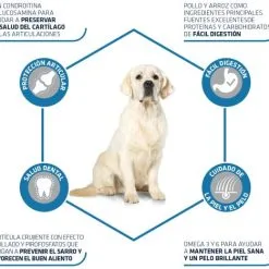 Advance Tourteau Maxi Adult Poulet Et Riz -Nourriture pour chien Soldes 147511 3 3 3 g