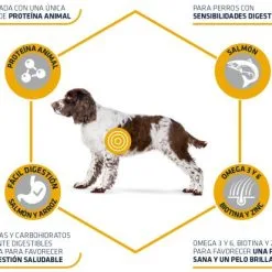 Advance Medium-Maxi Adult Sensitive Au Saumon & Riz -Nourriture pour chien Soldes 147513 3 3 4 g