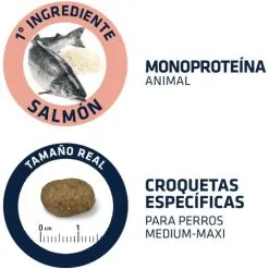 Advance Medium-Maxi Adult Sensitive Au Saumon & Riz -Nourriture pour chien Soldes 147513 4 4 5 g