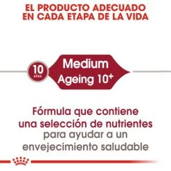Royal Canin Tourteau Medium Ageing +10 -Nourriture pour chien Soldes 15325 3 2 g