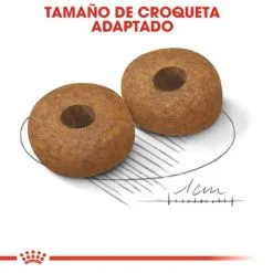 Royal Canin Tourteau Medium Ageing +10 -Nourriture pour chien Soldes 15325 5 4 g