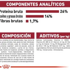 Royal Canin Tourteau Medium Ageing +10 -Nourriture pour chien Soldes 15325 8 7 g