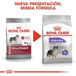 Royal Canin Medium Sterilised Pour Chien Adulte Moyen Stérilisé -Nourriture pour chien Soldes 165679 rc ccn sterilisedmed cv eretailkit 1 es es 5 g
