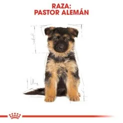 Royal Canin German Shepherd Puppy Aliment Pour Chiots Berger Allemand -Nourriture pour chien Soldes 167 6 5 g