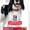 Hill's Science Plan Medium Adult à L' Agneau & Riz -Nourriture pour chien Soldes 171506 52742025223 3 0 g