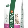 Libra Dog High Energy Au Poulet -Nourriture pour chien Soldes 174003 8410650262338 2 1 g