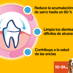 Pedigree Dentastix Dental Snack L'hygiène Dentaire Des Chiens De Taille Moyenne -Nourriture pour chien Soldes 175318 5010394984584 6 9 g