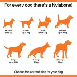 Nylabone Extreme Chew Barbell L -Nourriture pour chien Soldes 186512 interpet nylabone welpen dental kauknochen 1stck hs 05 4 6477657980d61 g