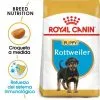 Royal Canin Rottweiler Puppy Aliment Pour Chiots 1 Royal Canin Rottweiler Puppy Aliment Pour Chiots -Nourriture pour chien Soldes 191 1 0 g