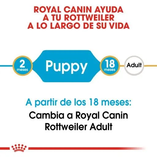 Royal Canin Rottweiler Puppy Aliment Pour Chiots 5 Royal Canin Rottweiler Puppy Aliment Pour Chiots – Image 3