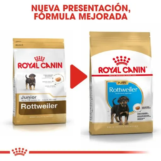 Royal Canin Rottweiler Puppy Aliment Pour Chiots 10 Royal Canin Rottweiler Puppy Aliment Pour Chiots – Image 8