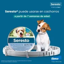 Seresto Collier Antiparasitaire Pour Chiens -Nourriture pour chien Soldes 20220914 Ecommerce Seresto cachorros 63eb97bf3b28b g