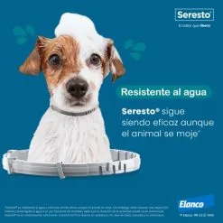 Seresto Collier Antiparasitaire Pour Chiens -Nourriture pour chien Soldes 20220914 Ecommerce Seresto collar agua 63eb97e06ee69 g