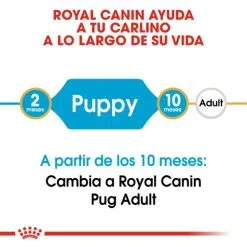 Royal Canin Pug Junior 13 Royal Canin Pug Junior -Nourriture pour chien Soldes 22240 3 2 g