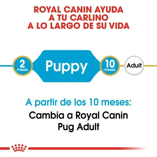 Royal Canin Pug Junior 5 Royal Canin Pug Junior – Image 3