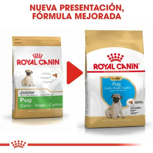 Royal Canin Pug Junior 10 Royal Canin Pug Junior – Image 8