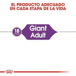 Royal Canin Nourriture Giant Adult -Nourriture pour chien Soldes 25 3 2 g