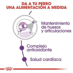 Royal Canin Nourriture Giant Adult -Nourriture pour chien Soldes 25 4 3 g