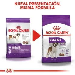 Royal Canin Nourriture Giant Adult -Nourriture pour chien Soldes 25 7 6 g