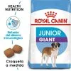 Royal Canin Tourteau Giant Junior 1 Royal Canin Tourteau Giant Junior -Nourriture pour chien Soldes 26 1 0 g