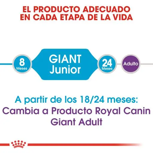 Royal Canin Tourteau Giant Junior 5 Royal Canin Tourteau Giant Junior – Image 3