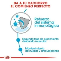 Royal Canin Tourteau Giant Junior 15 Royal Canin Tourteau Giant Junior -Nourriture pour chien Soldes 26 4 3 g