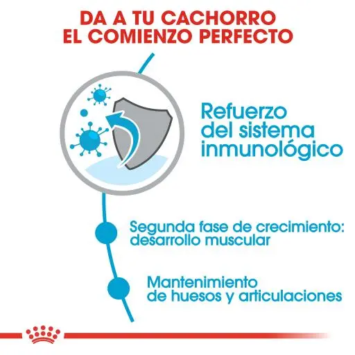 Royal Canin Tourteau Giant Junior 6 Royal Canin Tourteau Giant Junior – Image 4