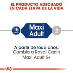 Royal Canin Maxi Adult Dog Food Pour Adultes Taille Grandes Races -Nourriture pour chien Soldes 284 3 2 g