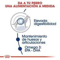 Royal Canin Maxi Adult Dog Food Pour Adultes Taille Grandes Races -Nourriture pour chien Soldes 284 4 3 g