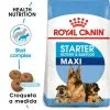 Royal Canin Nourriture Maxi Starter 2 Royal Canin Nourriture Maxi Starter -Nourriture pour chien Soldes 308 1 0 g