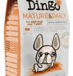 Dingo Mature & Daily