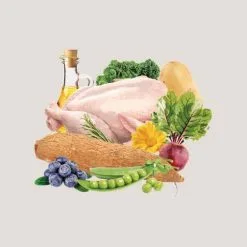 Traveness Nourriture Naturel Grain Free Puppy & Junior Recette De Poulet -Nourriture pour chien Soldes 512x512 1 8 64a523c662660 g