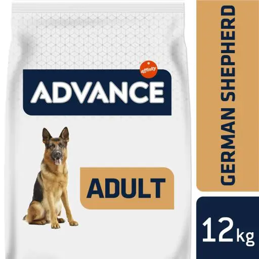 Advance German Shepherd Berger Allemand 5 Advance German Shepherd Berger Allemand – Image 3