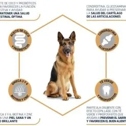 Advance German Shepherd Berger Allemand 12 Advance German Shepherd Berger Allemand -Nourriture pour chien Soldes 538 3 4 g