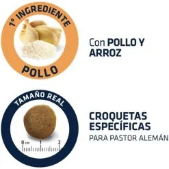 Advance German Shepherd Berger Allemand 13 Advance German Shepherd Berger Allemand -Nourriture pour chien Soldes 538 4 5 g