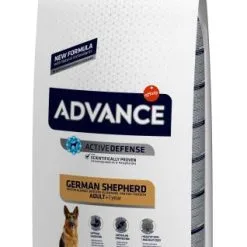 Advance German Shepherd Berger Allemand