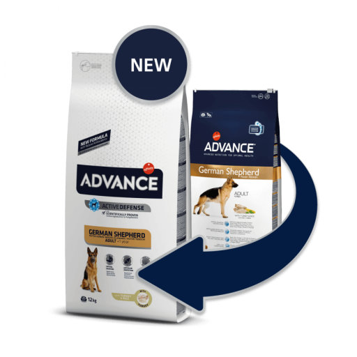 Advance German Shepherd Berger Allemand 4 Advance German Shepherd Berger Allemand – Image 2