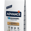 Advance Labrador Adult -Nourriture pour chien Soldes 539 12 kg 62176 8410650171586 dog 1 g