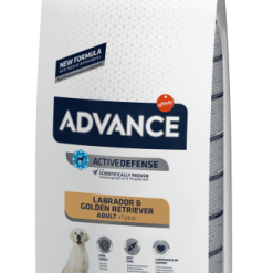 Advance Labrador Adult