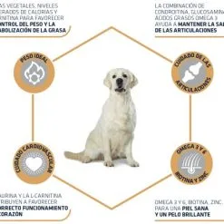 Advance Labrador Adult -Nourriture pour chien Soldes 539 3 3 g