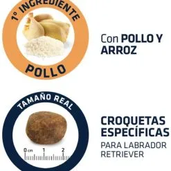 Advance Labrador Adult -Nourriture pour chien Soldes 539 4 4 g