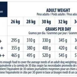 Advance Labrador Adult -Nourriture pour chien Soldes 539 6 6 g