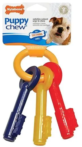 Nylabone Clés Pour Dentition 4 Nylabone Clés Pour Dentition – Image 2