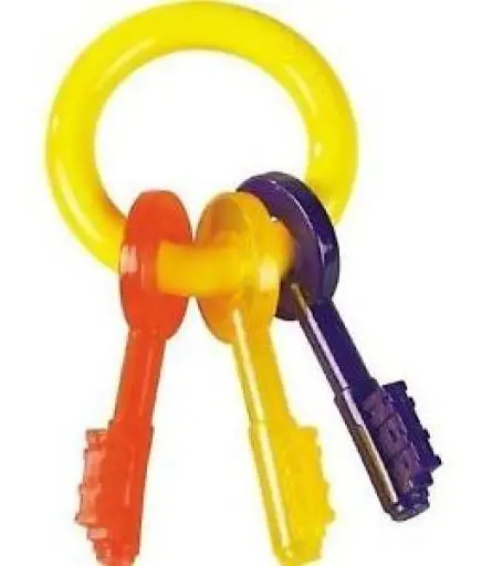 Nylabone Clés Pour Dentition 5 Nylabone Clés Pour Dentition – Image 3